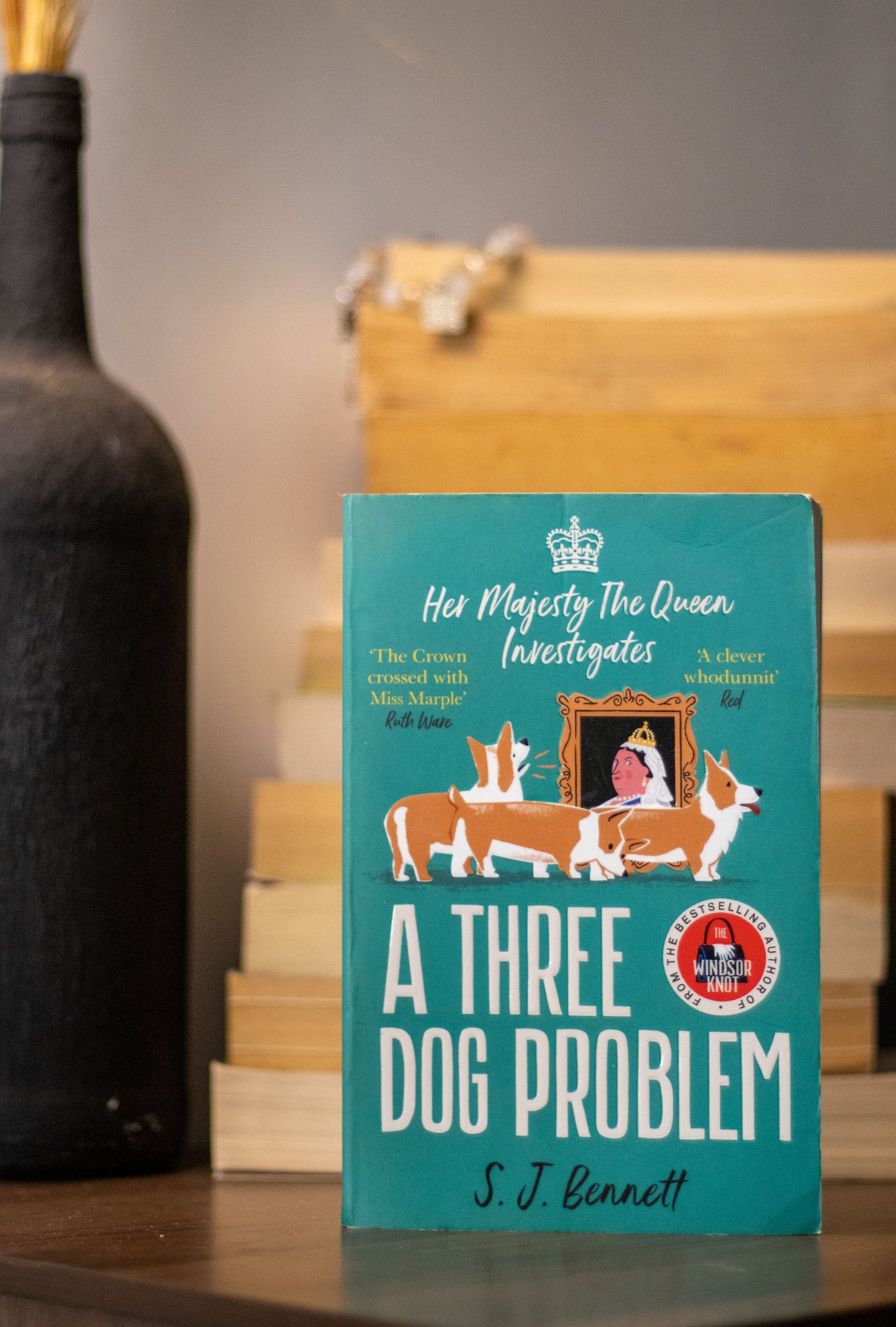 A Three Dog Problem by S. J. Bennett