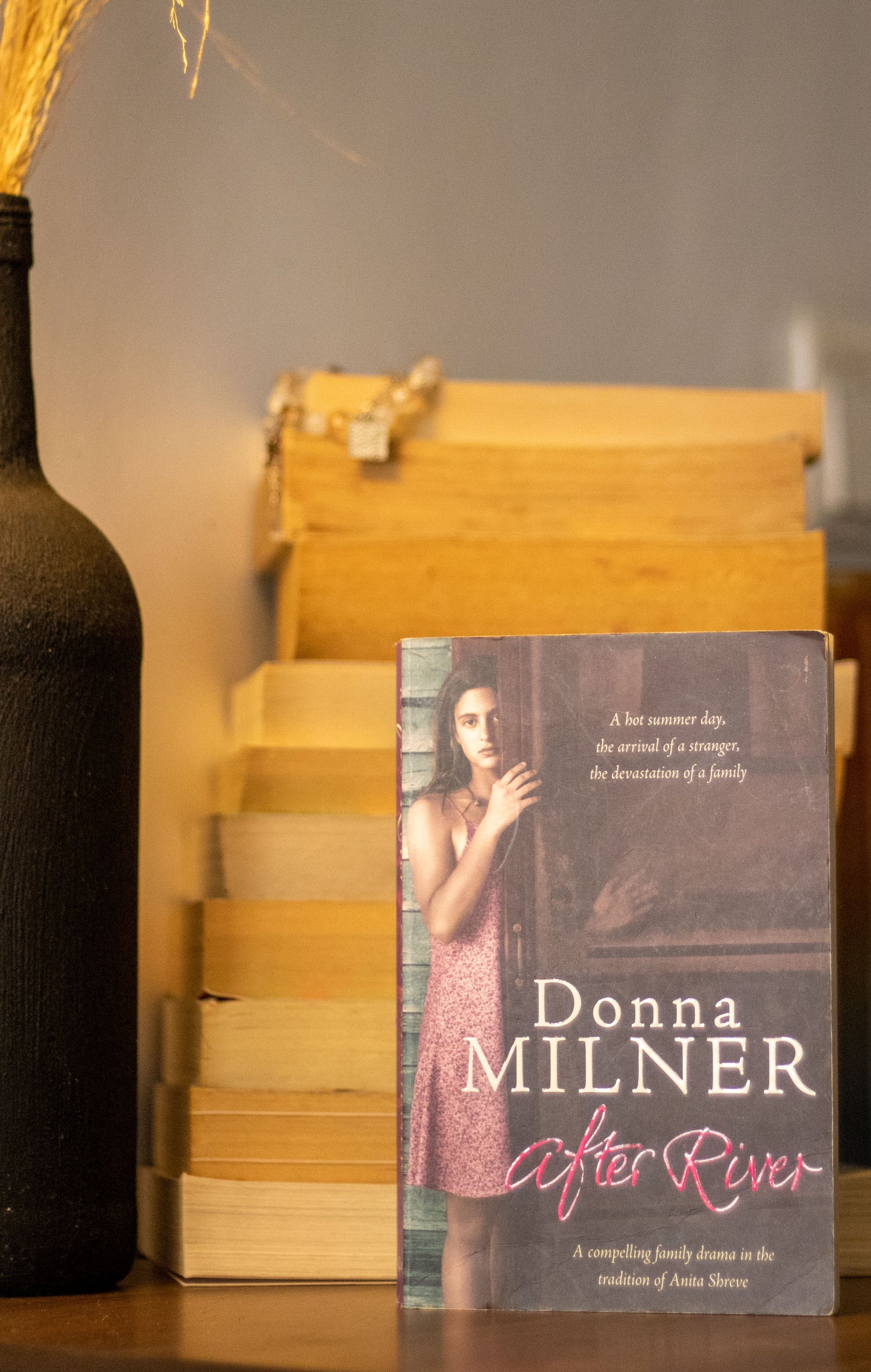 After the River by Donna Milner
