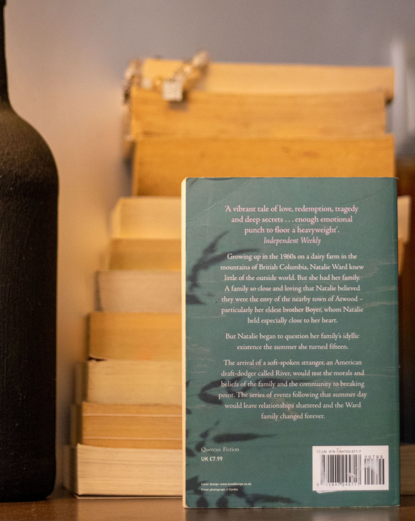 After the River by Donna Milner